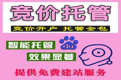 行业领先企业如何通过网络推广实现竞价增长